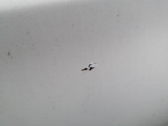 BMW 3-serie 3 serie (E90), Sedan, 2005 / 2011 316d 16V picture 28