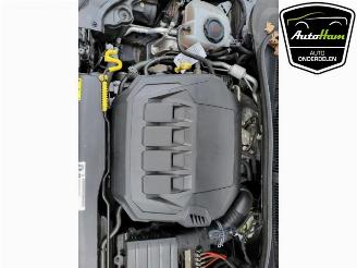 Volkswagen Polo Polo VI (AW1), Hatchback 5-drs, 2017 2.0 GTI picture 12