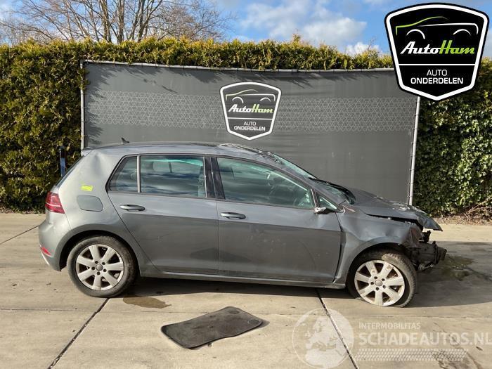 Volkswagen Golf Golf VII (AUA), Hatchback, 2012 / 2021 1.0 TSI 12V