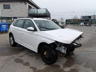 damaged passenger cars Skoda Kamiq  2024/12