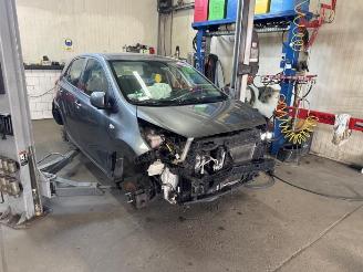 Sloopauto Kia Picanto Picanto (JA), Hatchback, 2017 1.0 DPI 12V 2023/8