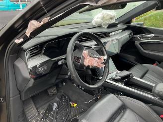 Audi E-tron e-tron (GEN), SUV, 2018 / 2023 55 quattro picture 10