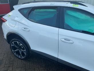Cupra Formentor Formentor, SUV, 2020 1.4 e-Hybrid VZ 16V picture 34