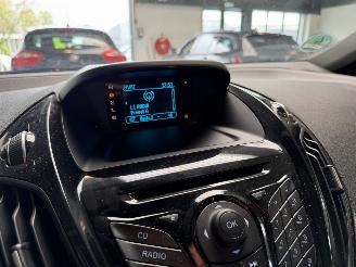 Ford B-Max 1.0 EcoBoost Titanium picture 16