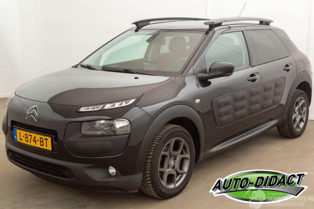 Citroën C4 cactus 1.6 BlueHDi Navi Clima Camera Business Plus