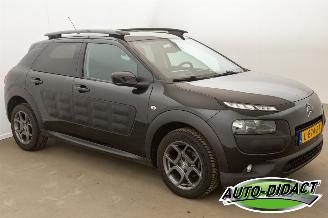 Citroën C4 cactus 1.6 BlueHDi Navi Clima Camera Business Plus picture 2