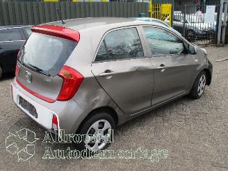 Kia Picanto Picanto (TA) Hatchback 1.0 12V (G3LA) [49kW]  (05-2011/06-2017) picture 3