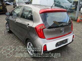 Kia Picanto Picanto (TA) Hatchback 1.0 12V (G3LA) [49kW]  (05-2011/06-2017) picture 4