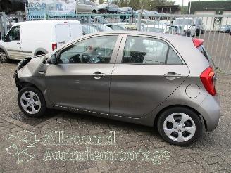 Kia Picanto Picanto (TA) Hatchback 1.0 12V (G3LA) [49kW]  (05-2011/06-2017) picture 8