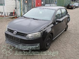 Autoverwertung Volkswagen Polo Polo V (6R) Hatchback 1.2 12V (CGPB(Euro 5)) [44kW]  (06-2009/05-2014)= 2009