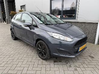 Auto incidentate Ford Fiesta 1.25 Trend 2013/6