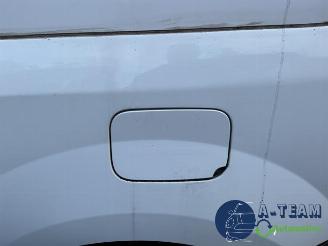 Renault Kangoo Kangoo Express (FW), Van, 2008 1.5 dCi 75 FAP picture 31