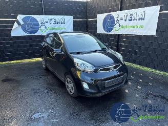 Voiture accidenté Kia Picanto Picanto (TA), Hatchback, 2011 / 2017 1.0 12V 2011/9