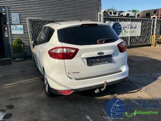 Coche accidentado Ford C-Max C-Max (DXA), MPV, 2010 / 2019 1.0 Ti-VCT EcoBoost 12V 125 2013/7