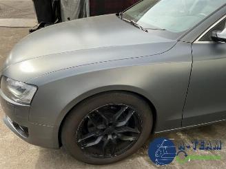 Audi 50 A5 Sportback (8TA), Liftback, 2009 / 2017 2.0 TDI 16V picture 24