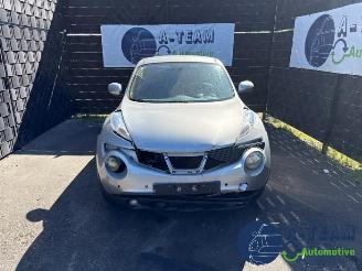Nissan Juke Juke (F15), SUV, 2010 / 2019 1.6 16V picture 2