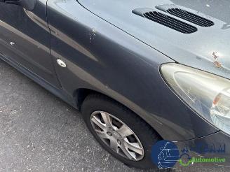 Peugeot 206 206+ (2L/M), Hatchback, 2009 / 2013 1.1 XR,XS picture 31