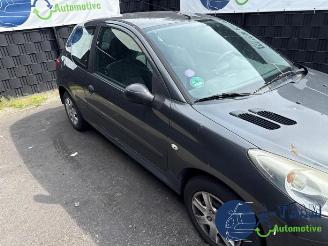 Peugeot 206 206+ (2L/M), Hatchback, 2009 / 2013 1.1 XR,XS picture 11