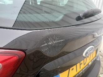 Ford C-Max C-Max (DXA) MPV 1.0 Ti-VCT EcoBoost 12V 125 (M1DA(Euro 5)) [92kW]  (10=
-2012/06-2019) picture 18