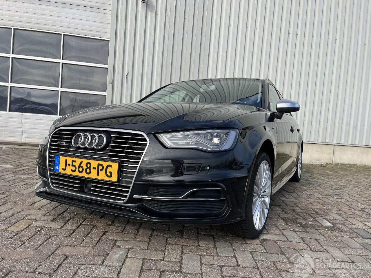 Audi A3 A3 Sportback (8VA/8VF) Hatchback 5-drs 1.4 TFSI 16V e-tron (CUKB(Euro =
6)) [150kW]  (05-2014/10-2020)