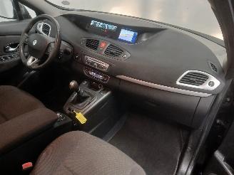 Renault Scenic Scénic III (JZ) MPV 1.4 16V TCe 130 (H4J-700(H4J-A7)) [96kW]  (02-20=
09/09-2016) picture 8