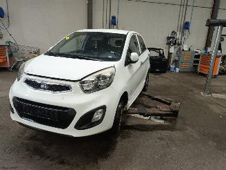 Vrakbiler auto Kia Picanto Picanto (TA) Hatchback 1.0 12V (G3LA) [51kW]  (05-2011/06-2017) 2013/4