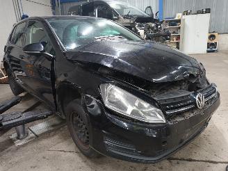 Volkswagen Golf Golf VII (AUA) Hatchback 1.6 TDI 16V (CLHB) [66kW]  (04-2013/03-2020) picture 2