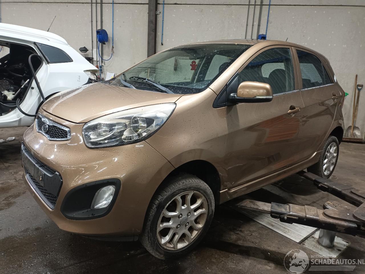 Kia Picanto Picanto (TA) Hatchback 1.0 12V (G3LA) [51kW]  (05-2011/06-2017)