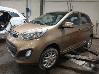 Purkuautot passenger cars Kia Picanto Picanto (TA) Hatchback 1.0 12V (G3LA) [51kW]  (05-2011/06-2017) 2011/12