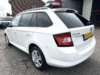 Skoda Fabia Gereserveerd 1.0 TSI 95pk Clever - org nl - front assist - pdc - airco - cruise - navi - privacy glass - rijdbaar picture 87