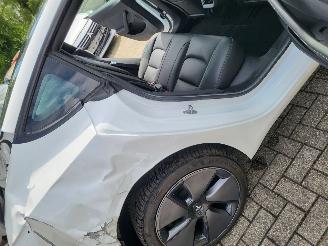 Tesla Model 3 Standard RWD Plus 60 kWh WLTP 491 km picture 17