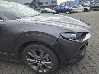 Mazda CX-30 2.0 LTr  / 137KW / AW-D / AUTOM. / SCHUIFDAK / LEER / HEAD UPP picture 11