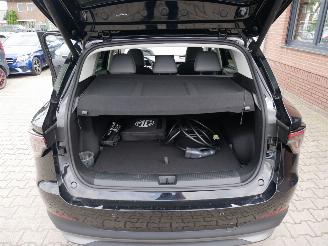 MG MG5 EV picture 13