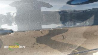 BMW 3-serie 3 serie Touring (E91), Combi, 2004 / 2012 318i 16V picture 5