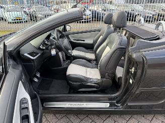 Peugeot 207 CC  1.6 VTI Clima picture 20