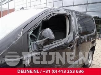 Opel Combo Combo Cargo, Van, 2018 1.5 CDTI 75 picture 12