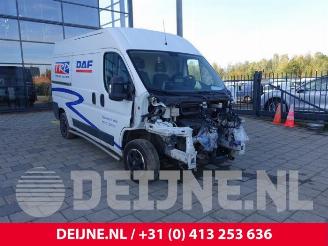Vrakbiler auto Fiat Ducato Ducato (250), Van, 2006 2.3 D 130 Multijet 2019/6