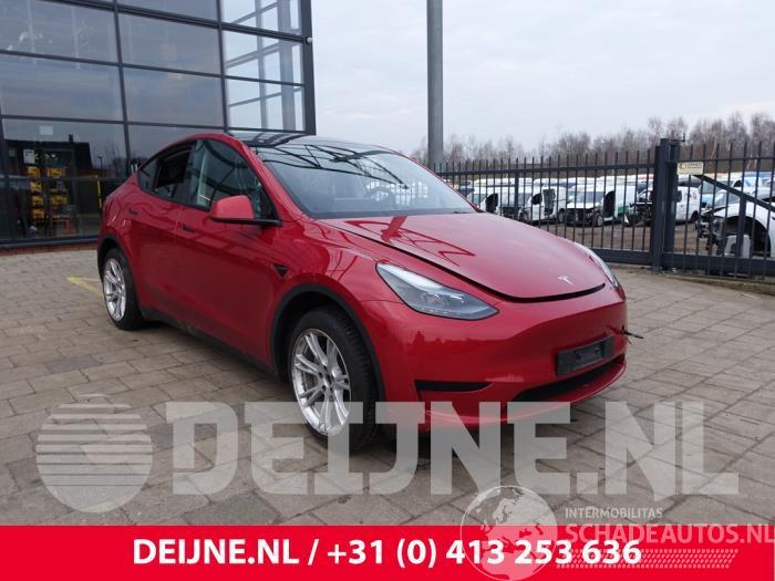 Tesla Model Y Model Y (5YJY), SUV, 2019 / 2025 RWD