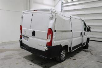 Opel Movano  picture 3