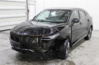 krockskadad bil bedrijf DFSK Fengon 5  2022/12