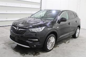 Opel Grandland X picture 1