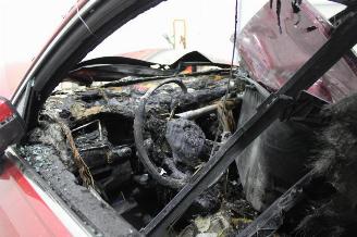 Volkswagen Tiguan  picture 6