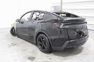 Tesla Model Y  picture 5
