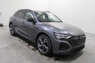 Audi Q8 e-tron picture 2