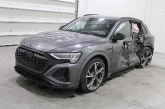 damaged passenger cars Audi Q8 e-tron 2024/1