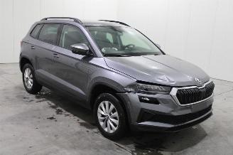 Skoda Karoq  picture 2