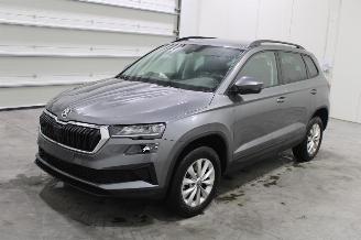 skadebil auto Skoda Karoq  2026/1