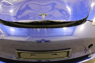 Tesla Model 3  picture 24