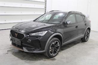 krockskadad bil auto Cupra Formentor  2024/2