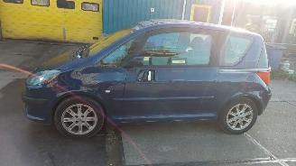 Peugeot 1007  picture 2